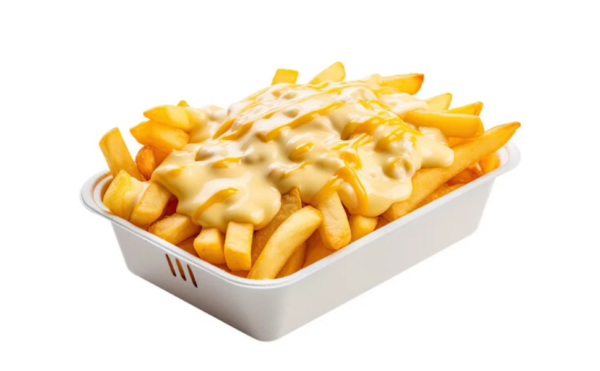 cheesy-fries